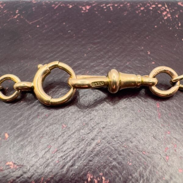 Victorian Rose Gold Albert - Image 7