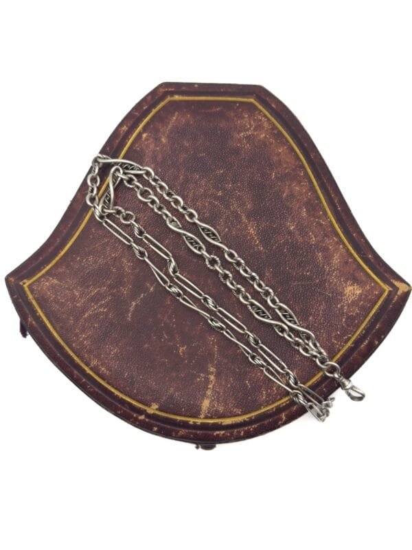 Unusual Antique Silver Multi-link Chain