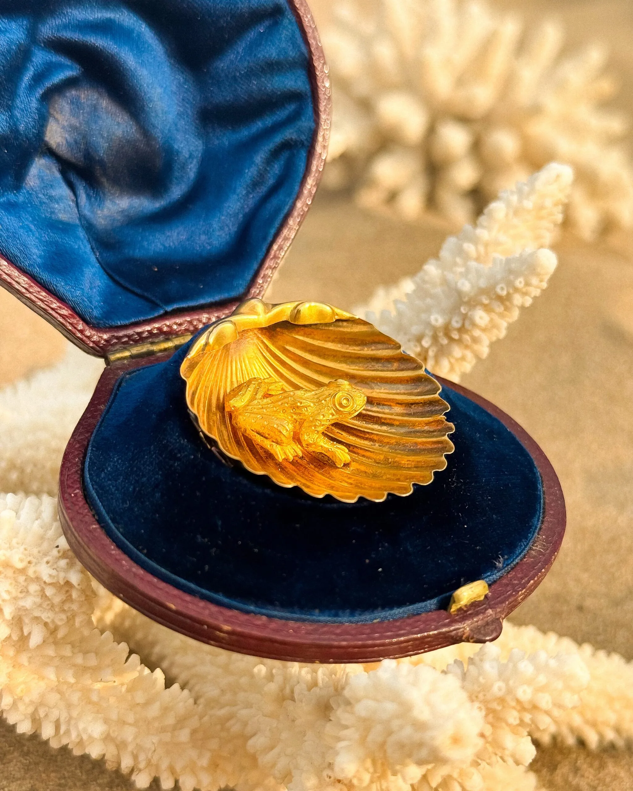 18ct Gold Frog & Shell Brooch